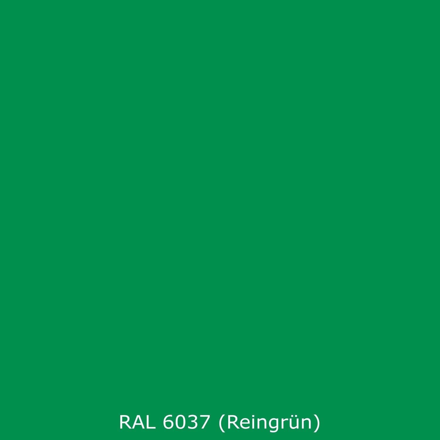 Toilettenrückwand Einfarbig RAL 6037 Reingrün