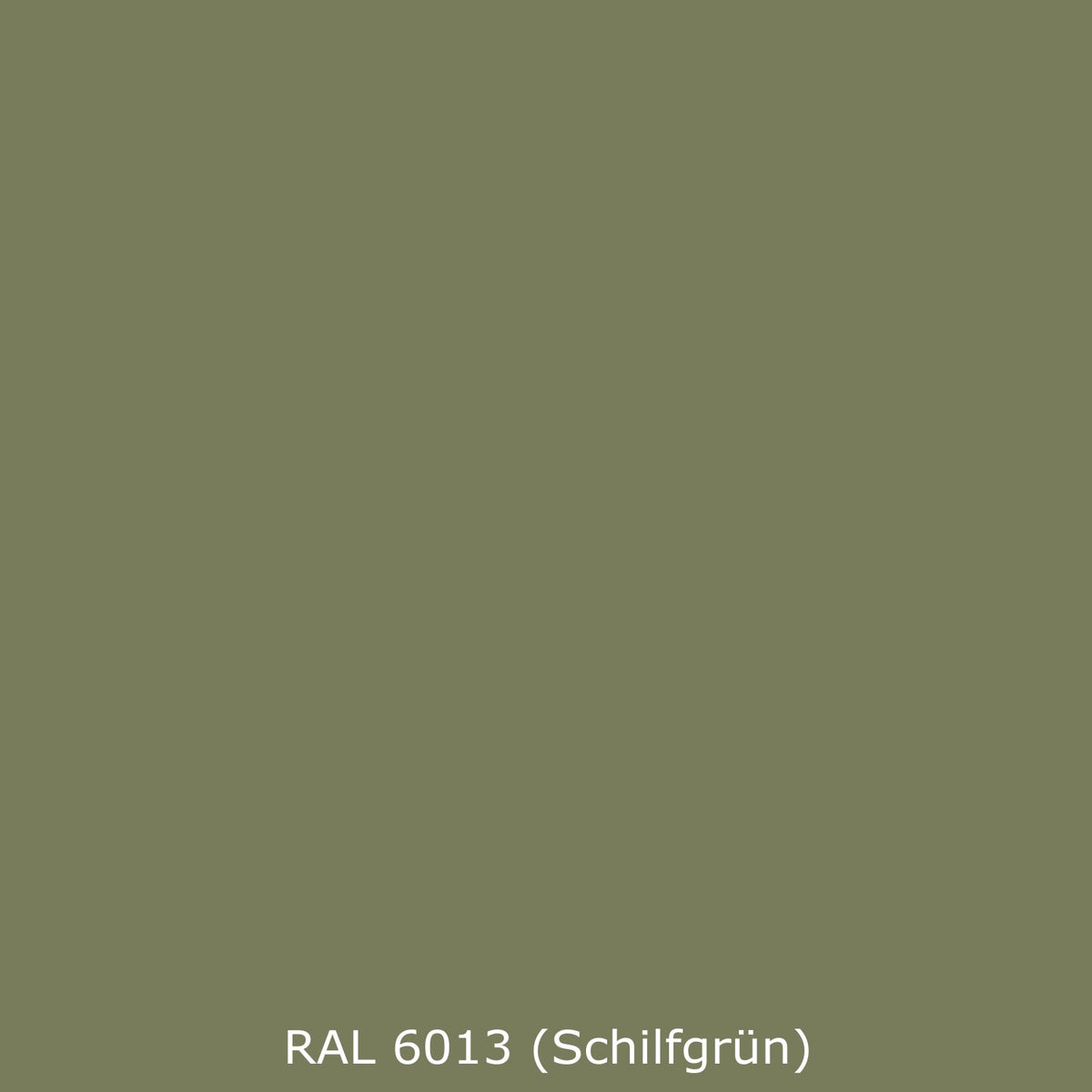 Toilettenrückwand Einfarbig RAL 6013 Schilfgrün