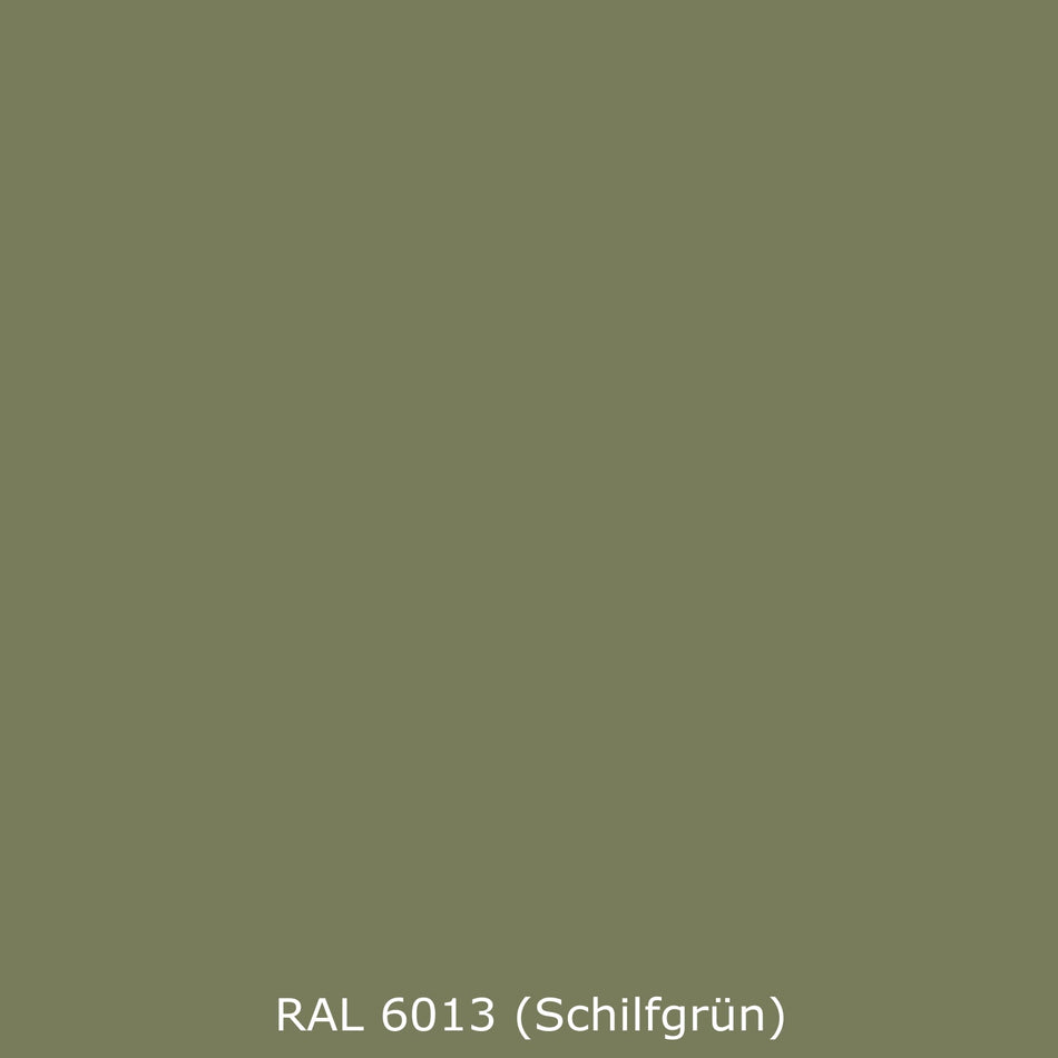 Toilettenrückwand Einfarbig RAL 6013 Schilfgrün