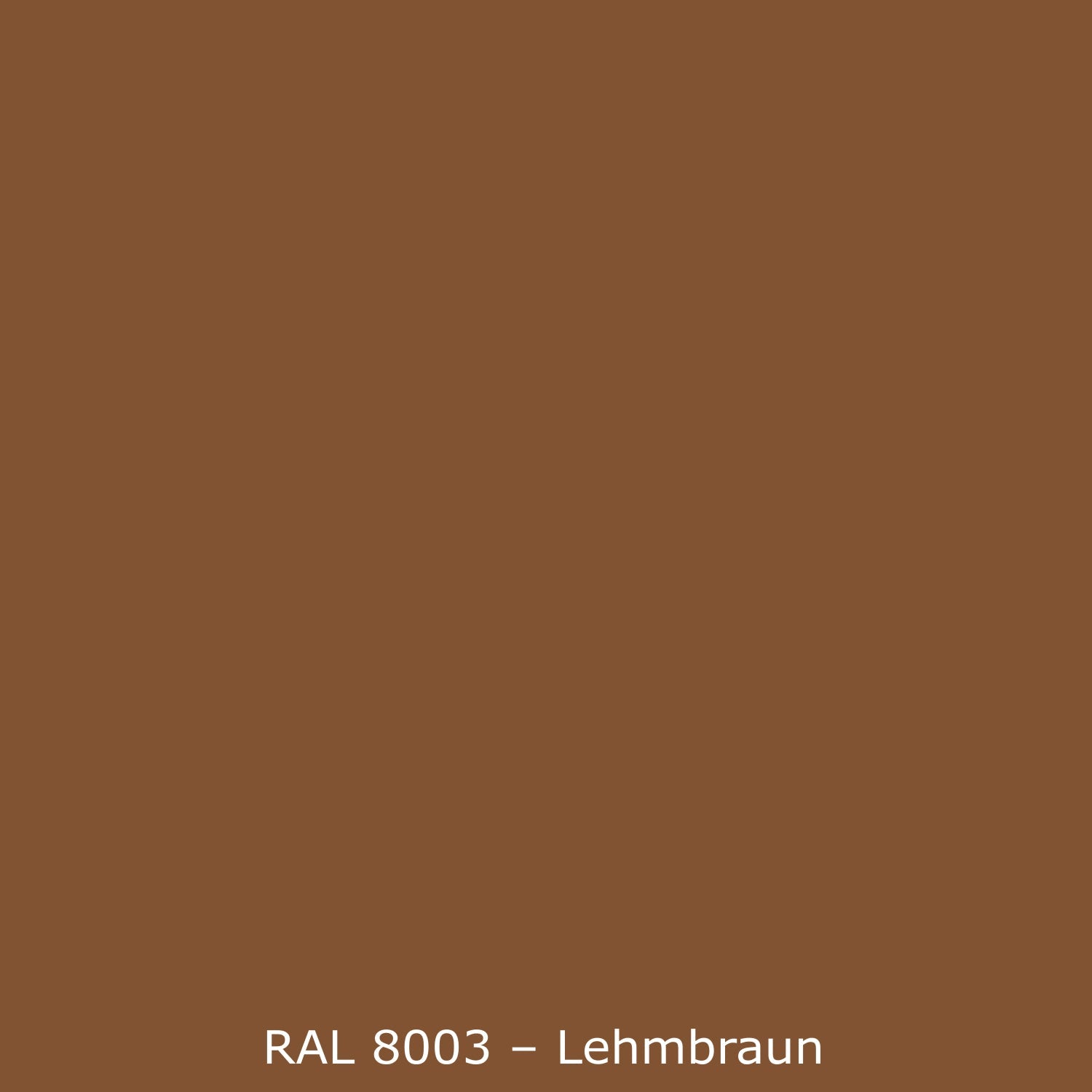 Toilettenrückwand Einfarbig RAL 8003 Lehmbraun