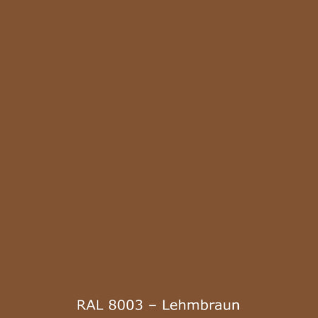 Toilettenrückwand Einfarbig RAL 8003 Lehmbraun