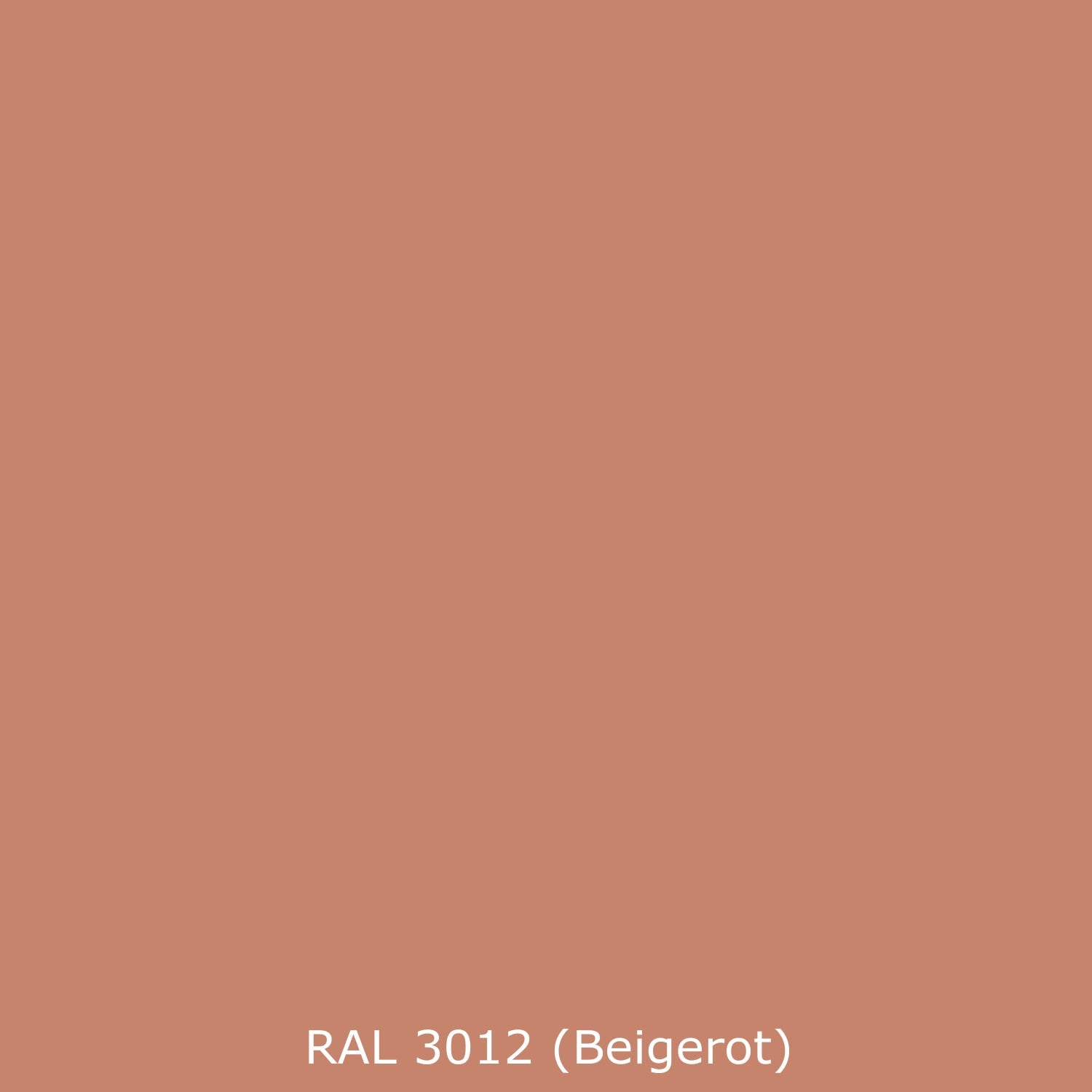 Toilettenrückwand Einfarbig RAL 3012 Beigerot