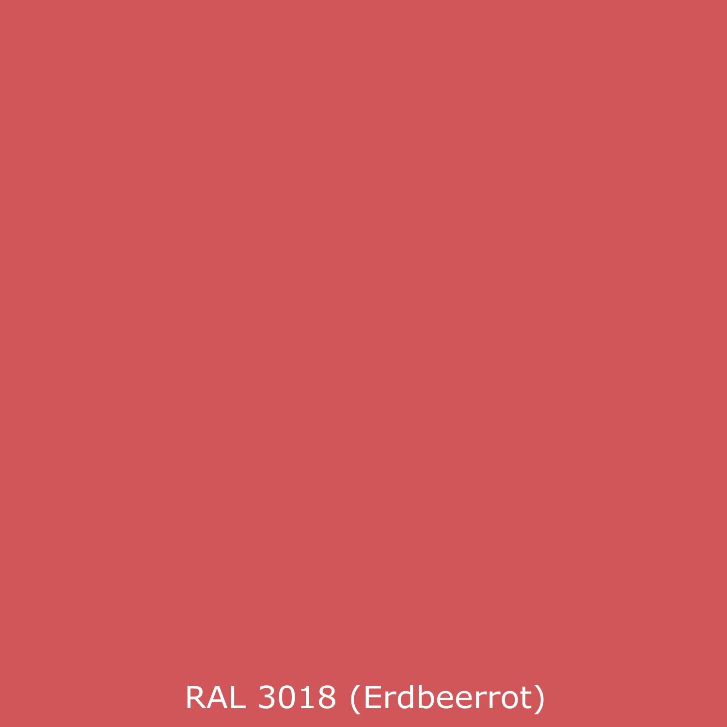 Toilettenrückwand Einfarbig RAL 3018 Erdbeerrot