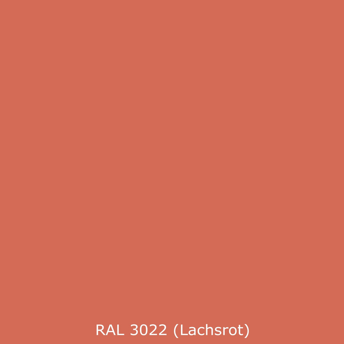 Toilettenrückwand Einfarbig RAL 3022 Lachsrot
