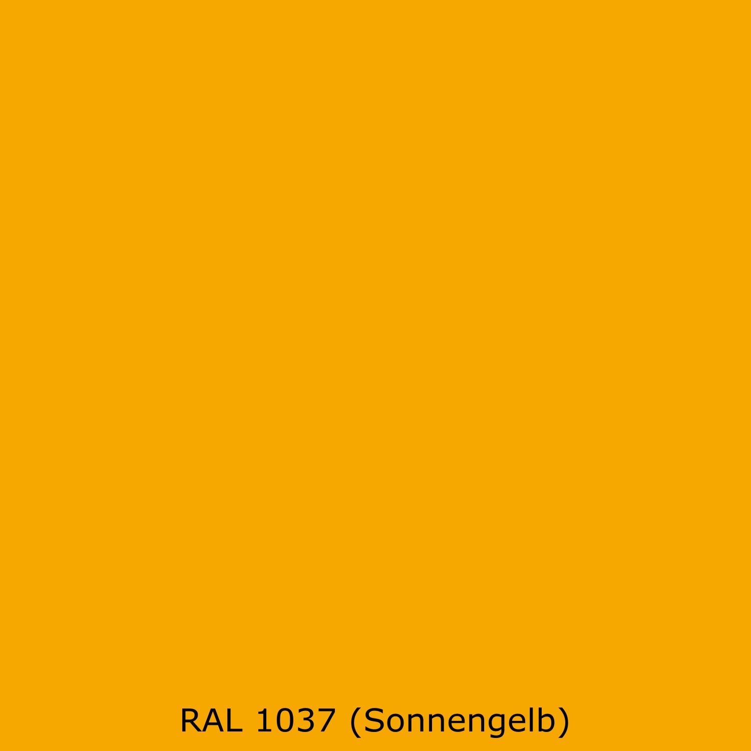 Toilettenrückwand Einfarbig RAL 1037 Sonnengelb