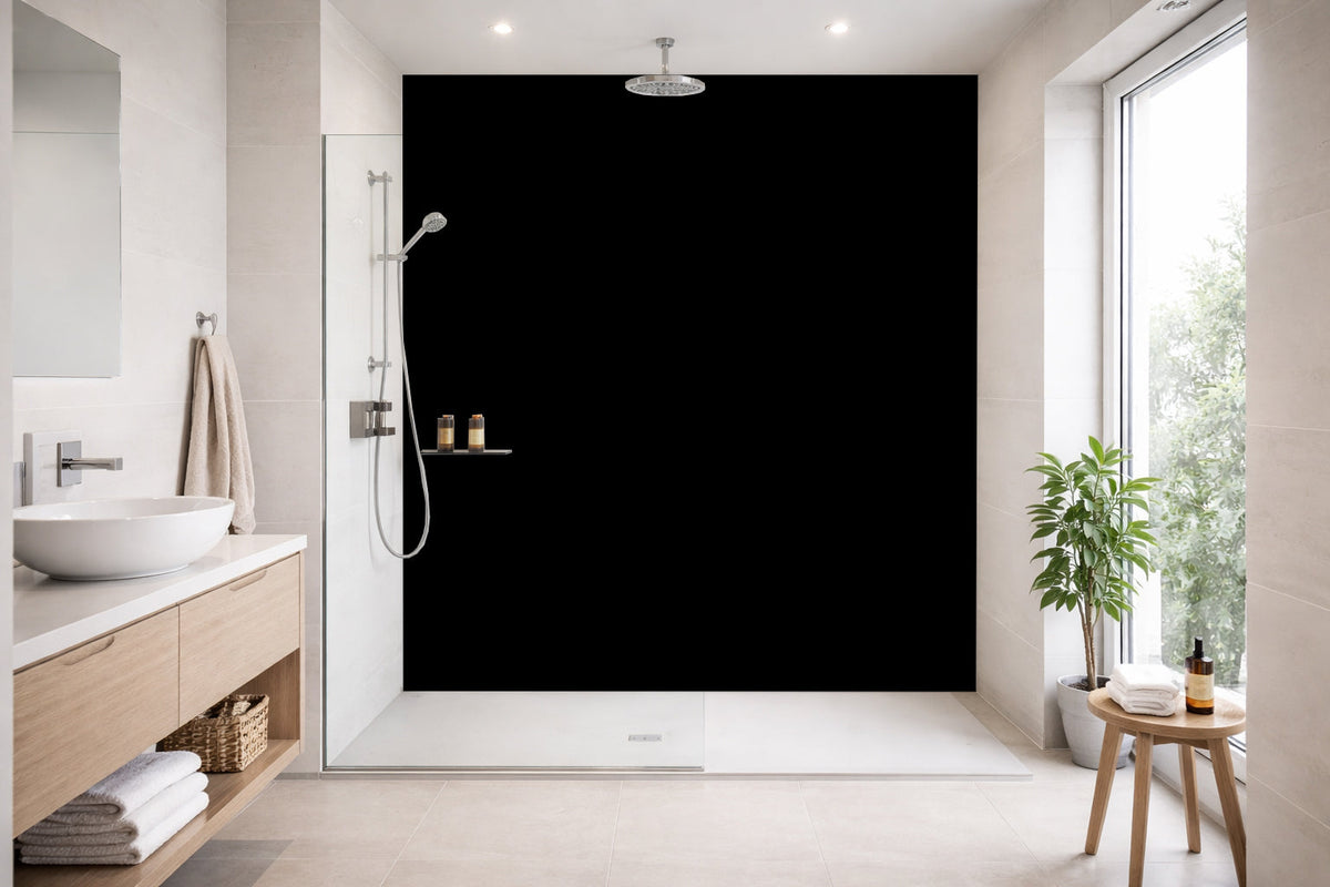 Toilettenrückwand Einfarbig #000000 RAL 9005 – Tiefschwarz