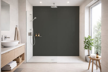 Toilettenrückwand Einfarbig RAL 7022 Umbragrau