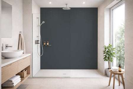 Toilettenrückwand Einfarbig RAL 7024 Graphitgrau