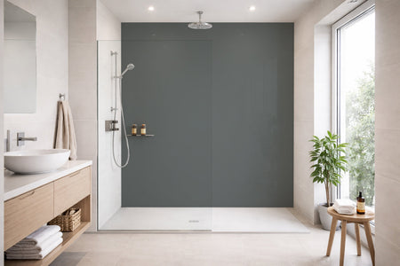 Toilettenrückwand Einfarbig RAL 7005 Mausgrau