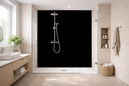 Toilettenrückwand Einfarbig #000000 RAL 9005 – Tiefschwarz