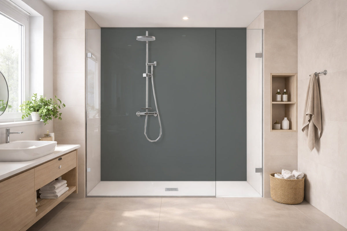 Toilettenrückwand Einfarbig RAL 7005 Mausgrau