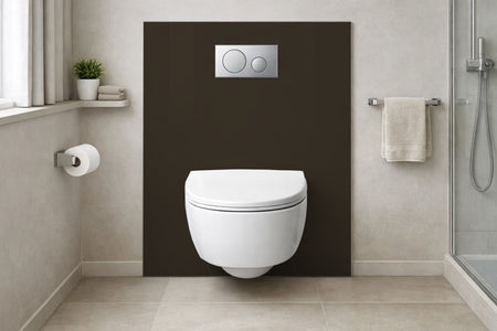 Toilettenrückwand Einfarbig RAL 6022 Braunoliv