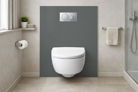 Toilettenrückwand Einfarbig RAL 7005 Mausgrau