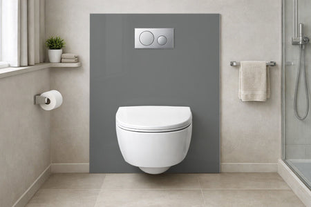 Toilettenrückwand Einfarbig RAL 7037 Staubgrau