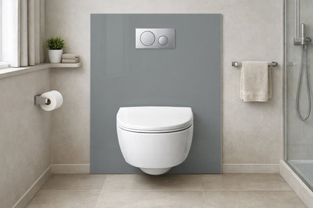 Toilettenrückwand Einfarbig RAL 7001 Silbergrau