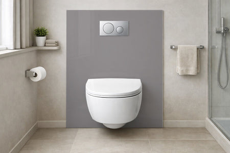 Toilettenrückwand Einfarbig RAL 7036 Platingrau