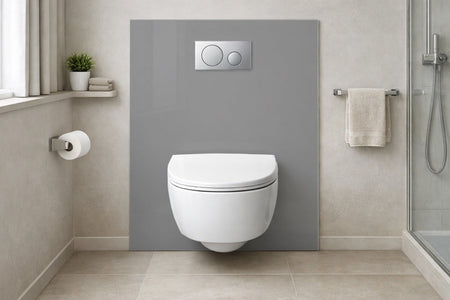 Toilettenrückwand Einfarbig RAL 9022 Perlhellgrau