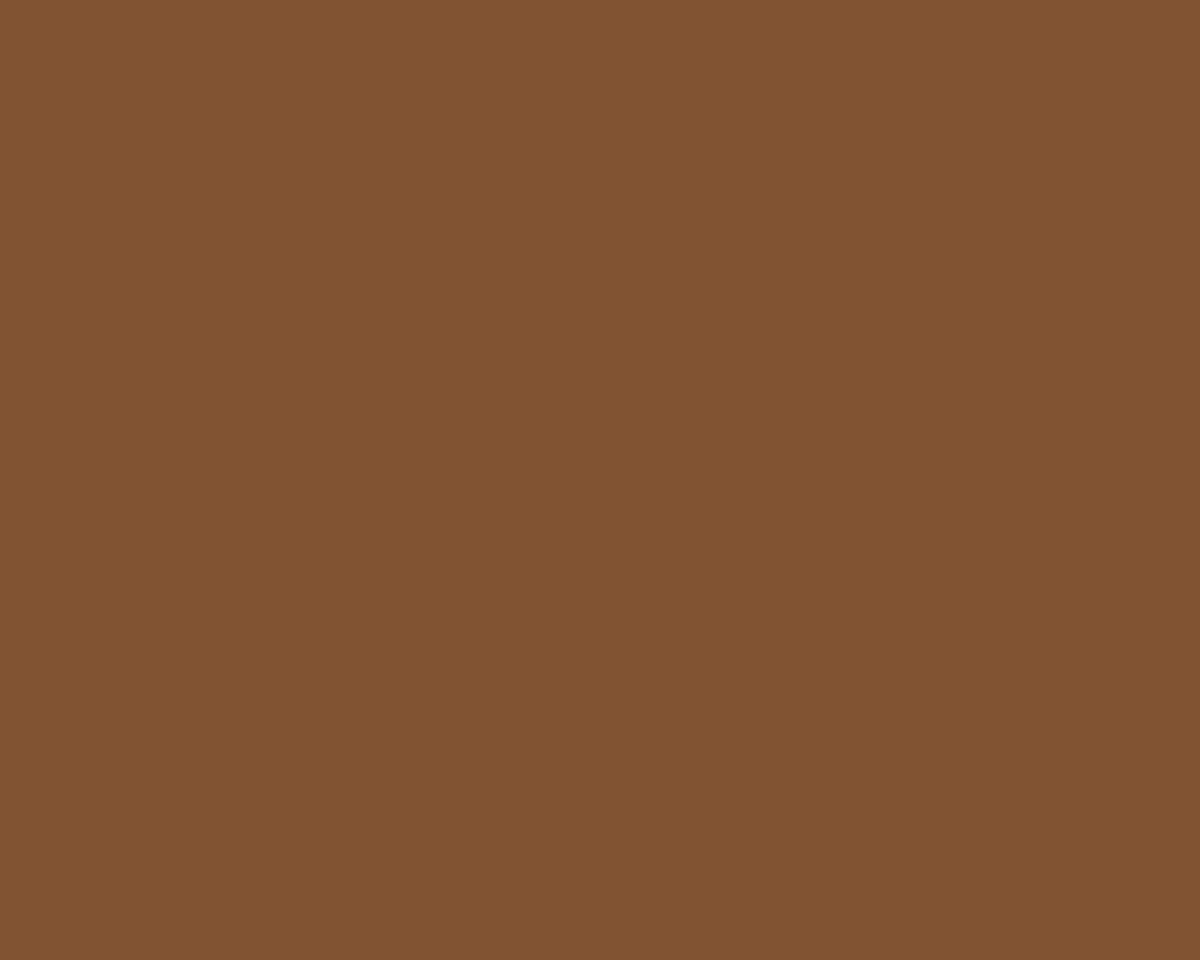 Toilettenrückwand Einfarbig RAL 8003 Lehmbraun