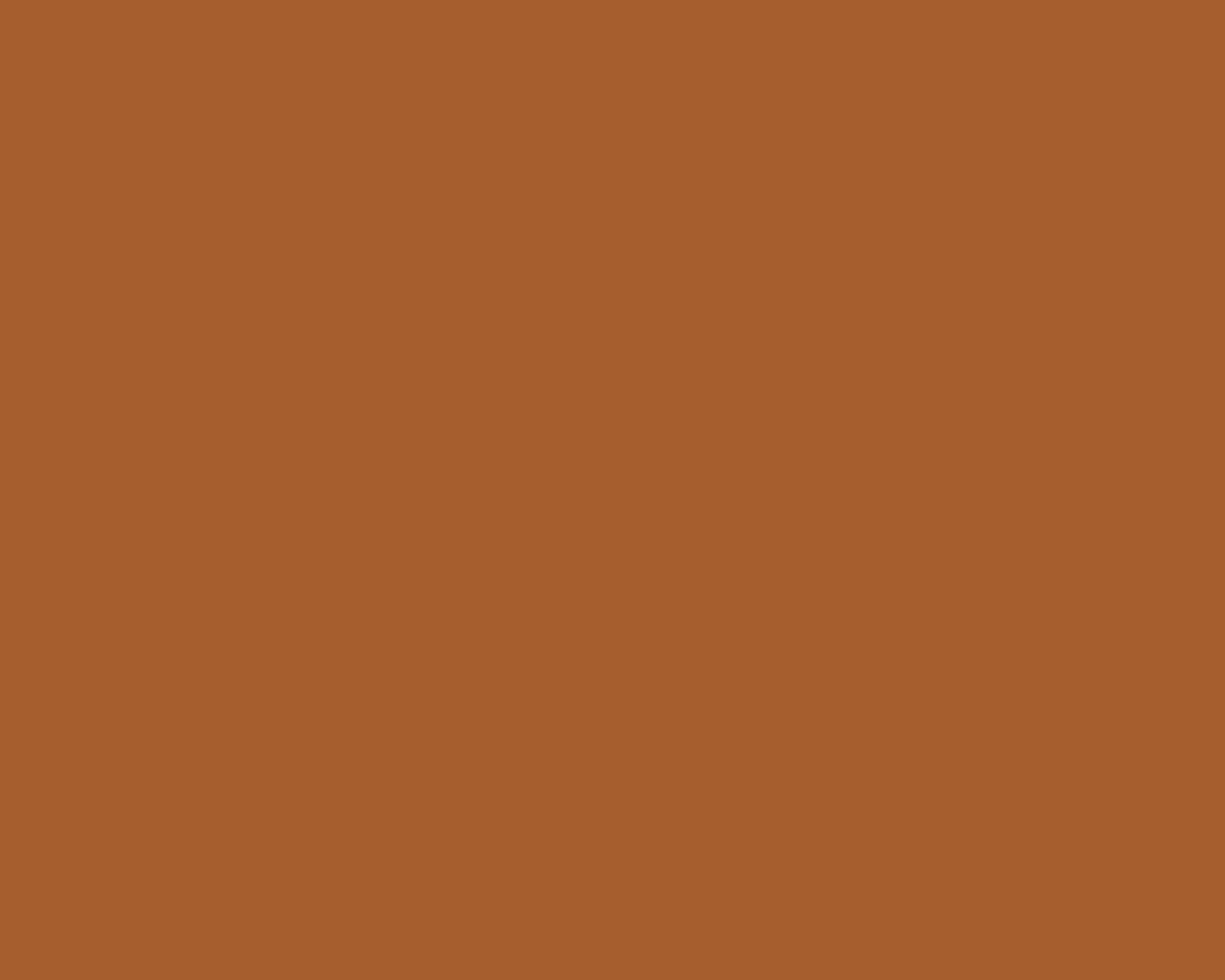 Toilettenrückwand Einfarbig RAL 8023 Orangbraun