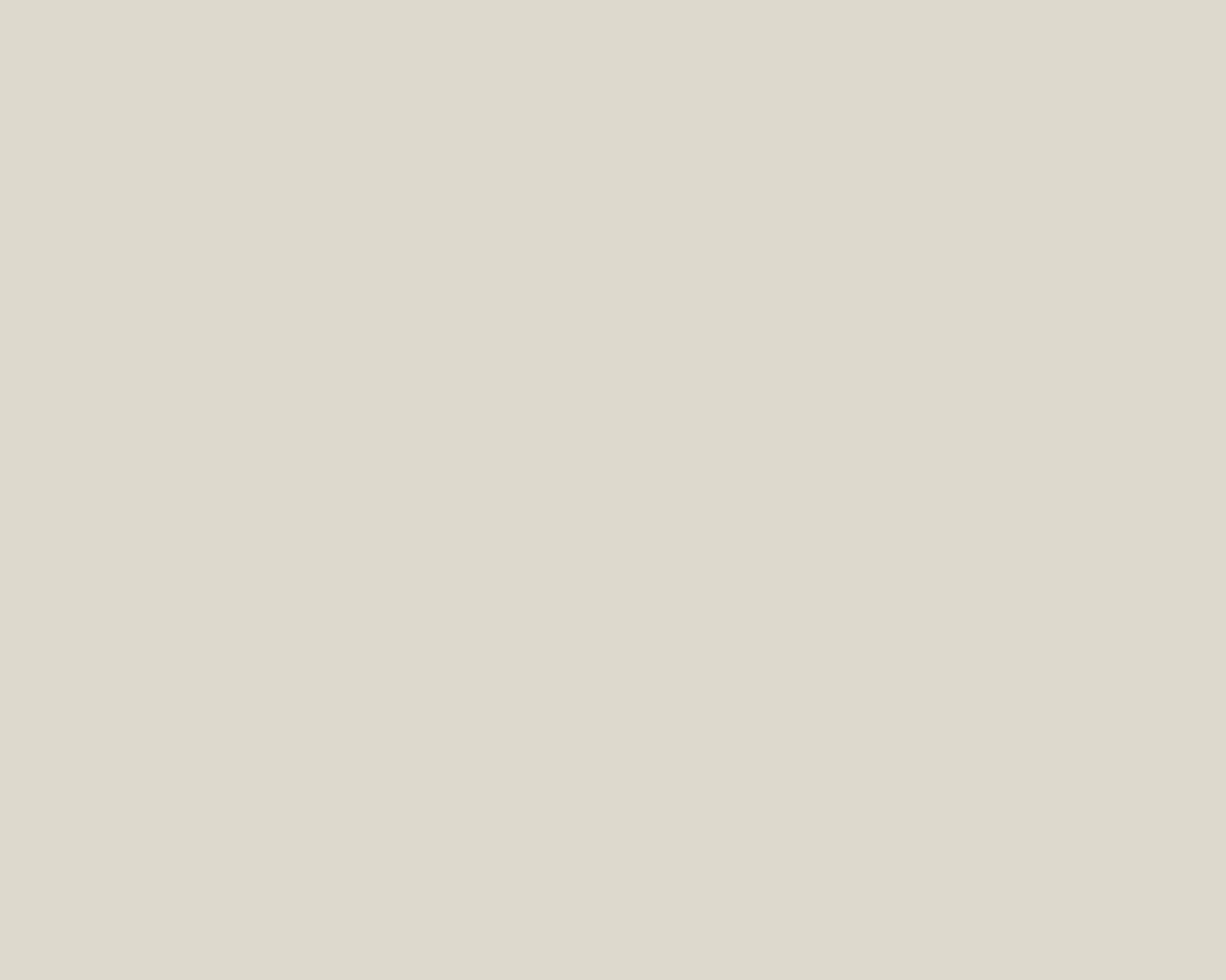 Toilettenrückwand Einfarbig RAL 9002 Grauweiß