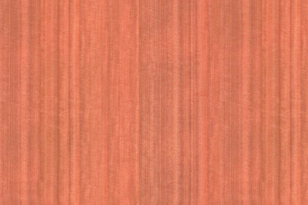 Toilettenrückwand Holzoptik