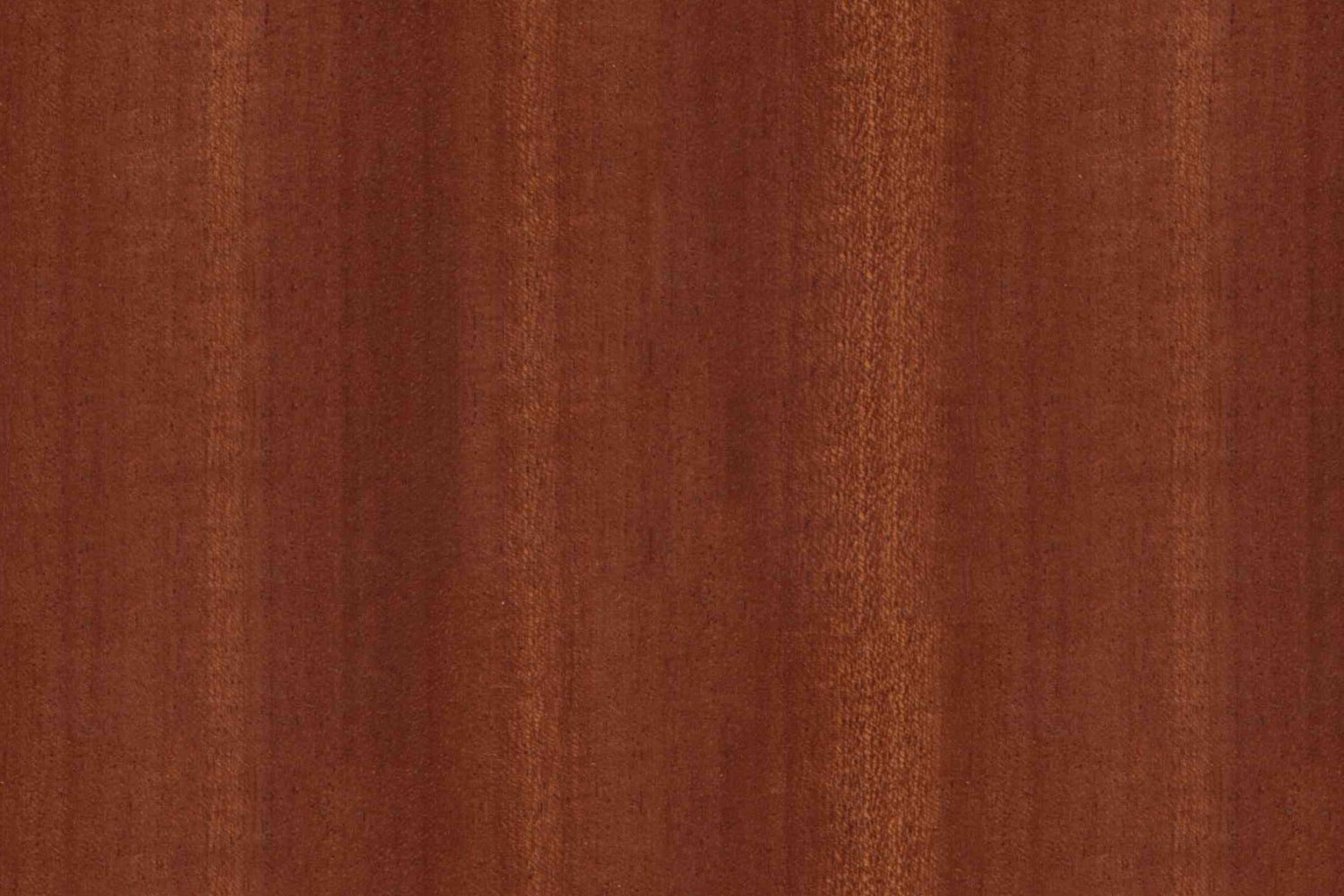 Toilettenrückwand Holzoptik