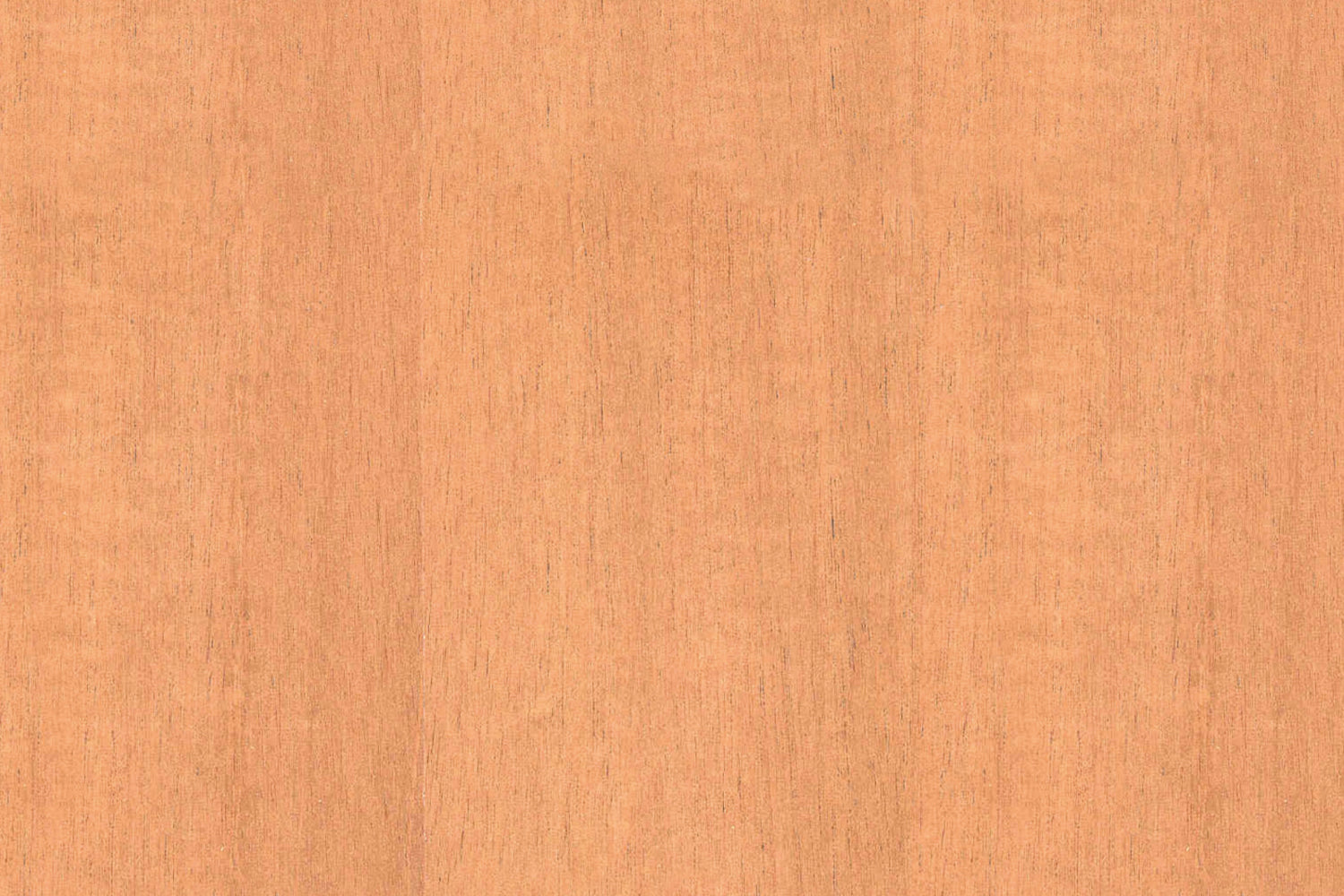 Toilettenrückwand Holzoptik