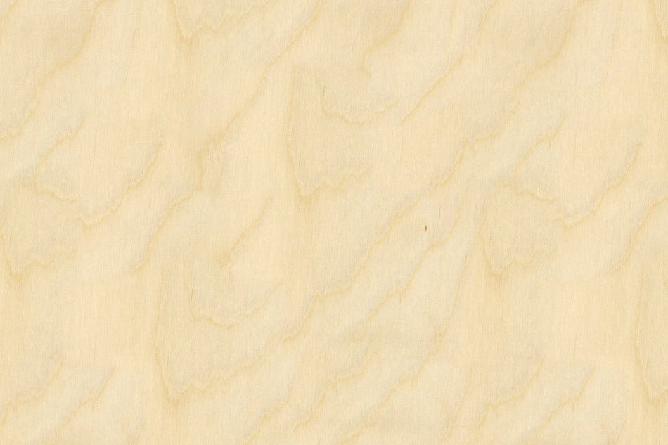 Toilettenrückwand Holzoptik