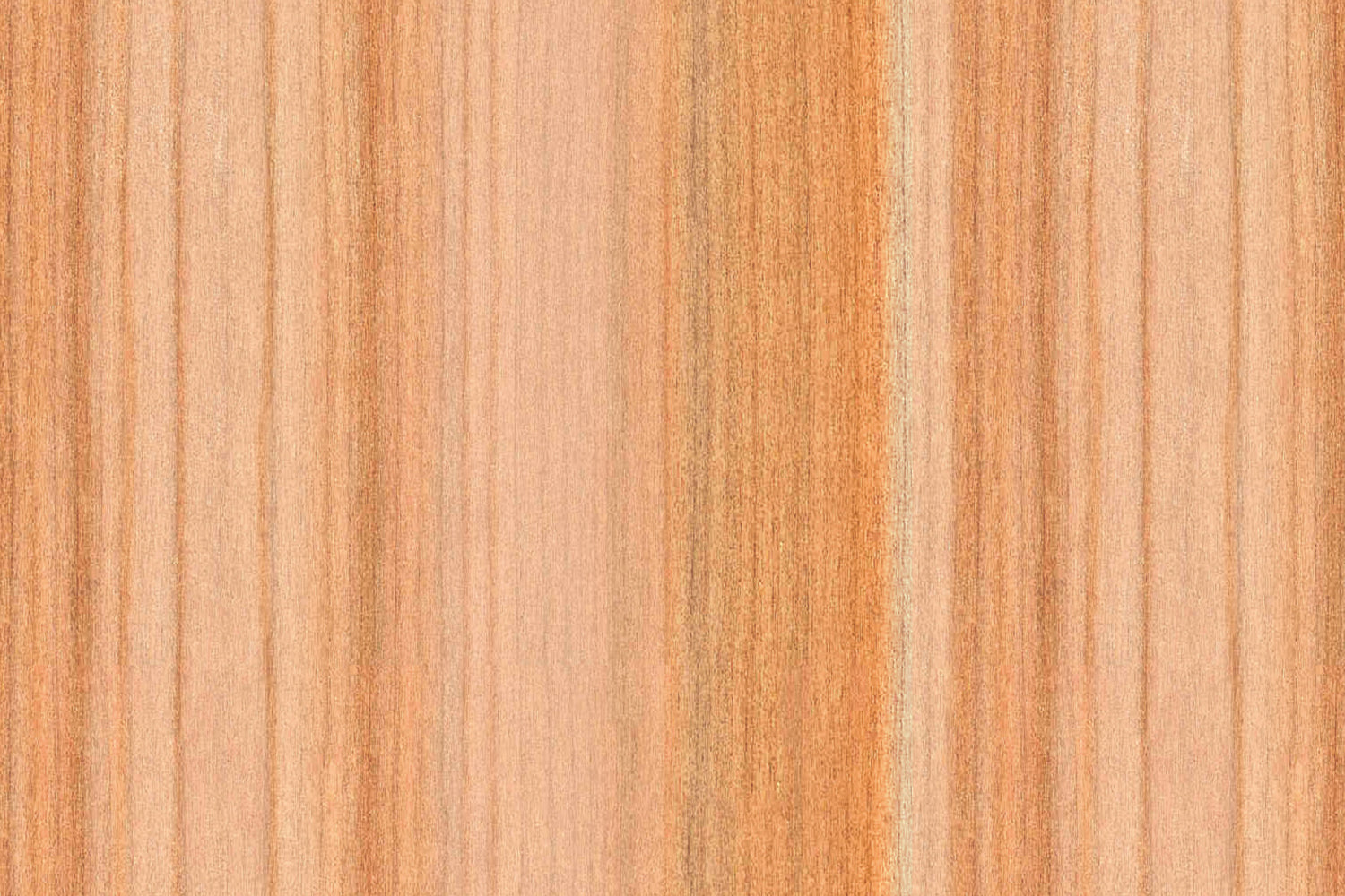 Toilettenrückwand Holzoptik