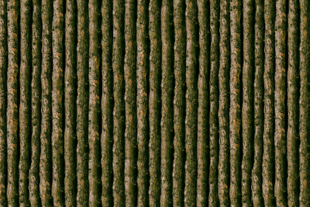 Toilettenrückwand Holzoptik