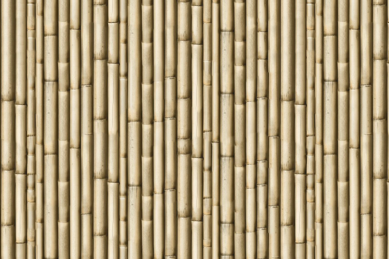 Toilettenrückwand Holzoptik