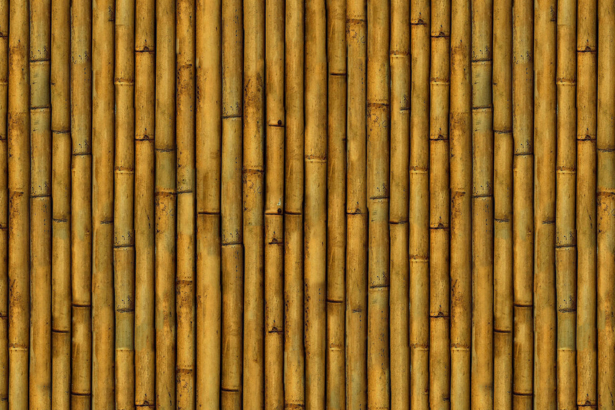 Toilettenrückwand Holzoptik