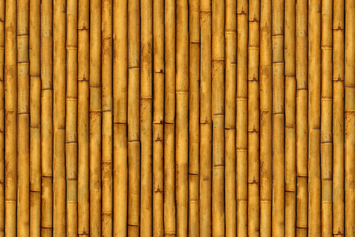 Toilettenrückwand Holzoptik
