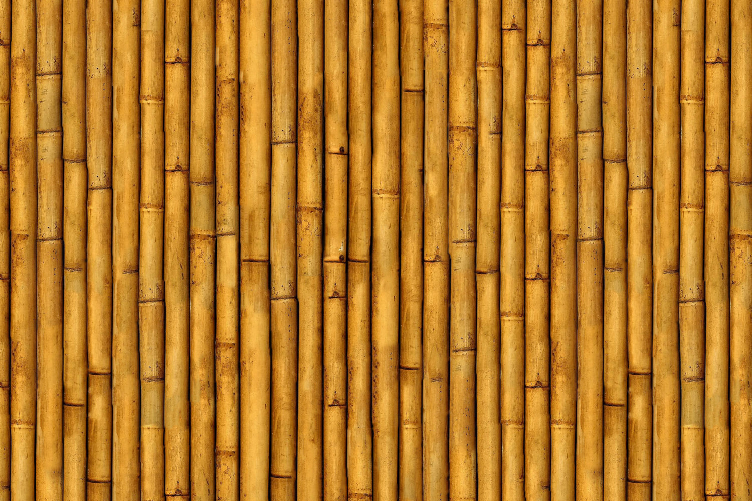 Toilettenrückwand Holzoptik
