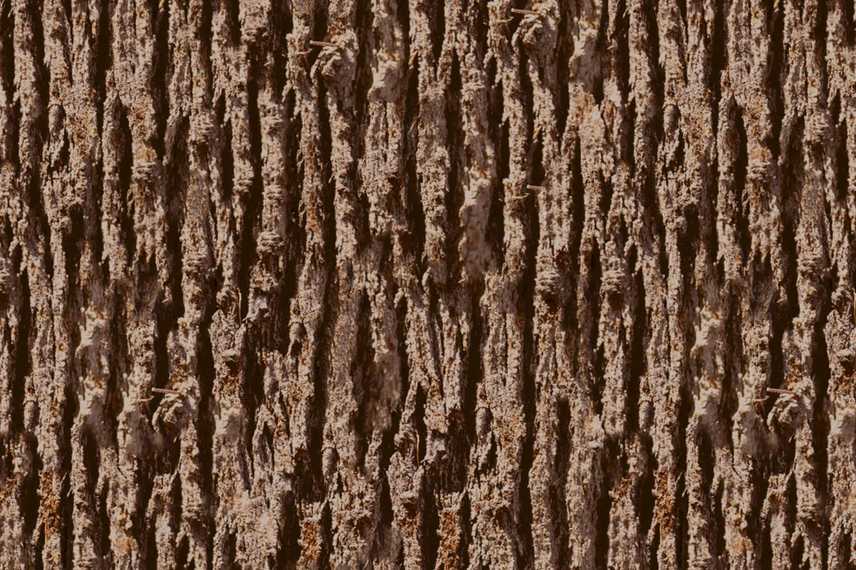 Toilettenrückwand Holzoptik