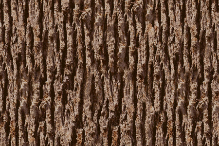 Toilettenrückwand Holzoptik