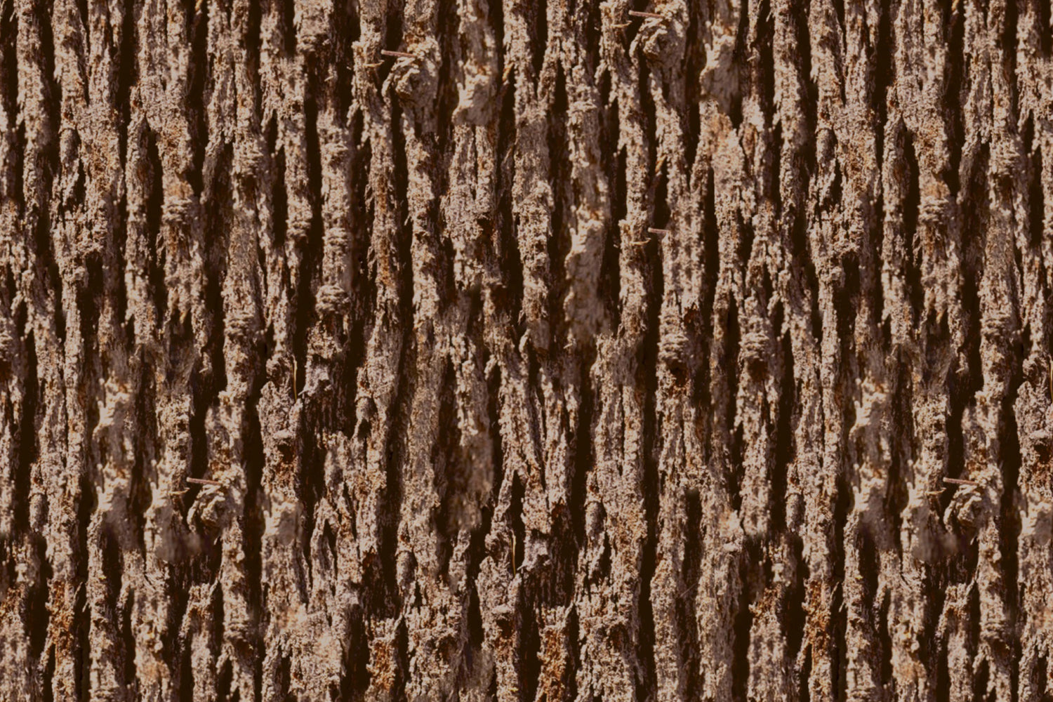 Toilettenrückwand Holzoptik