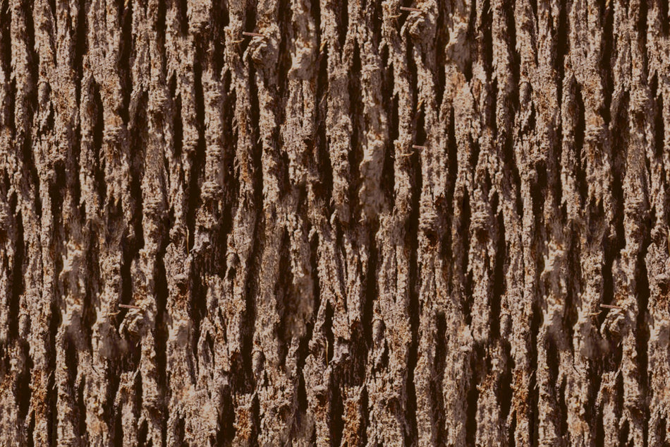 Toilettenrückwand Holzoptik