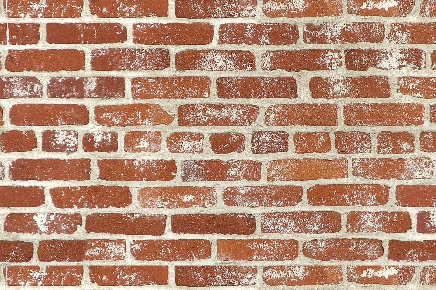 Toilettenrückwand Steinoptik