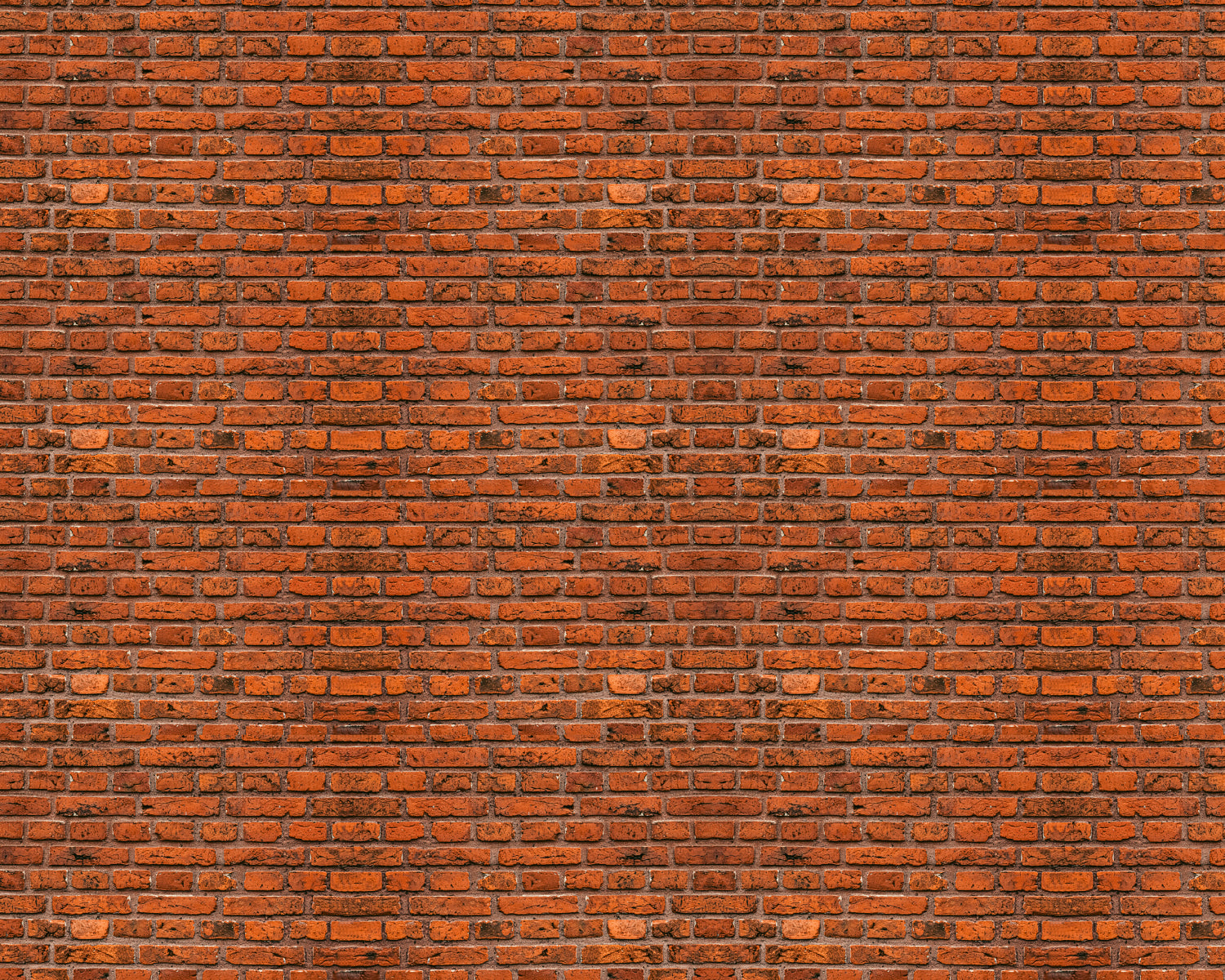 Toilettenrückwand Steinoptik