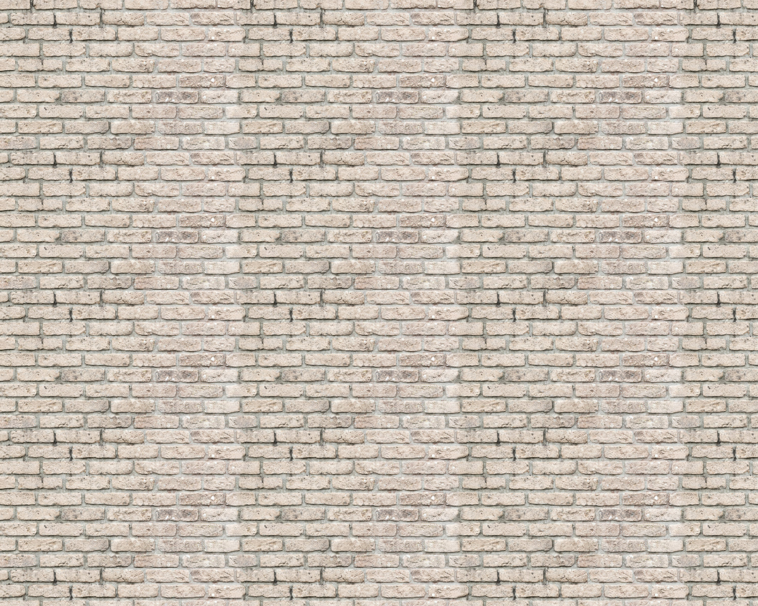 Toilettenrückwand Steinoptik