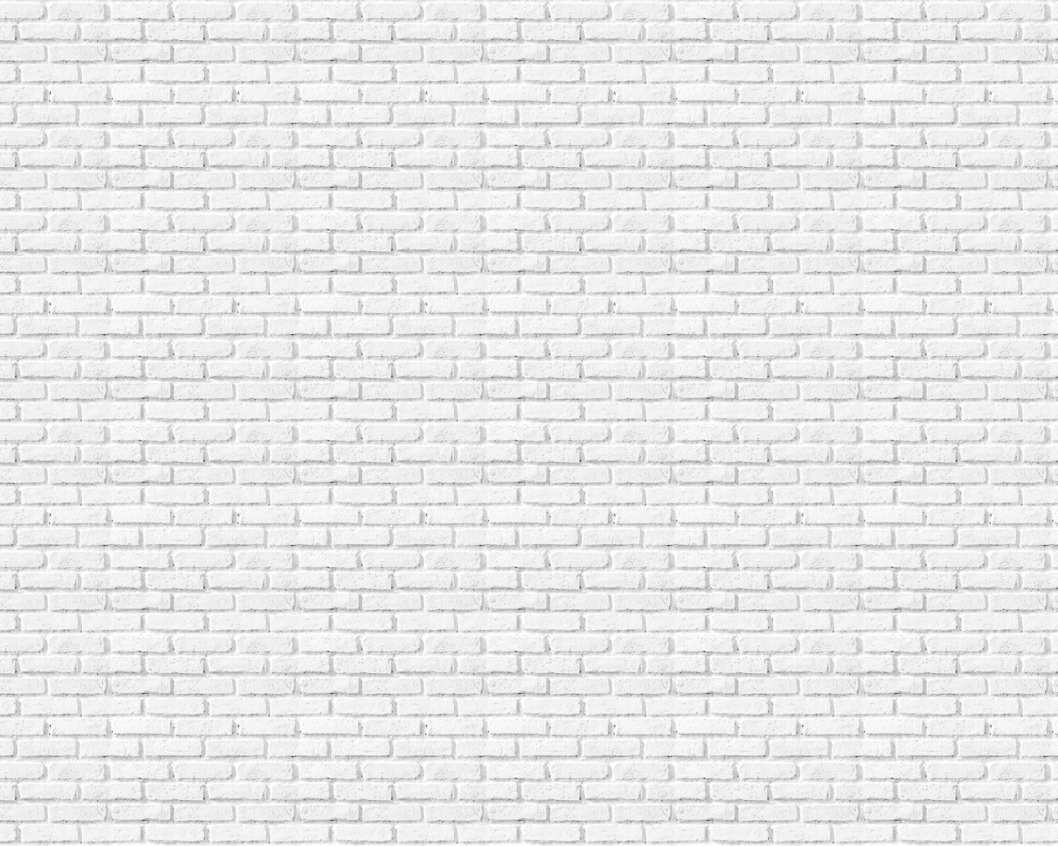 Toilettenrückwand Steinoptik