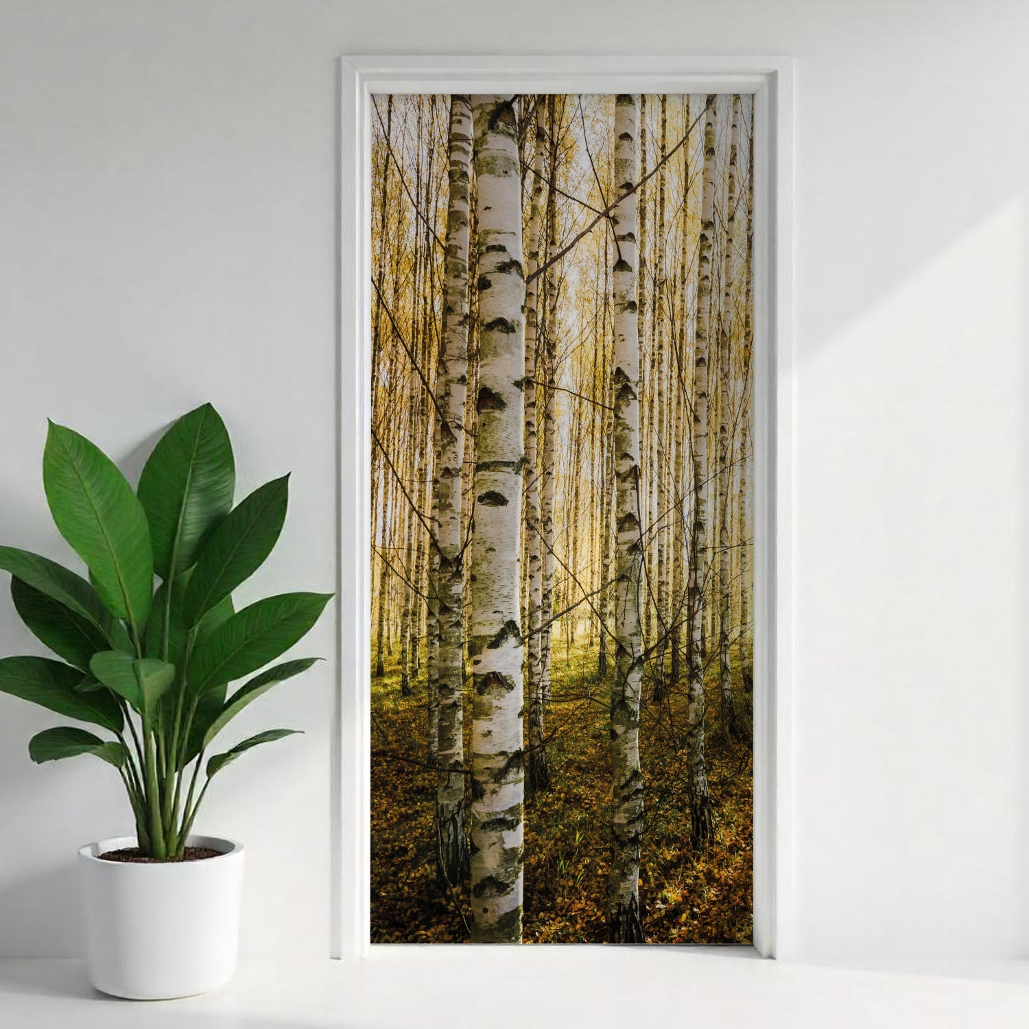 Türfolie Selbstklebend nach maß