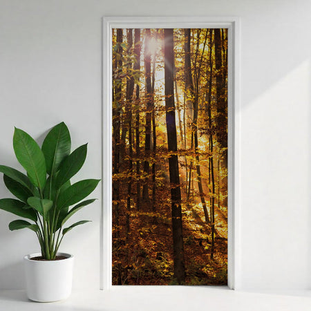 Türfolie Selbstklebend nach maß