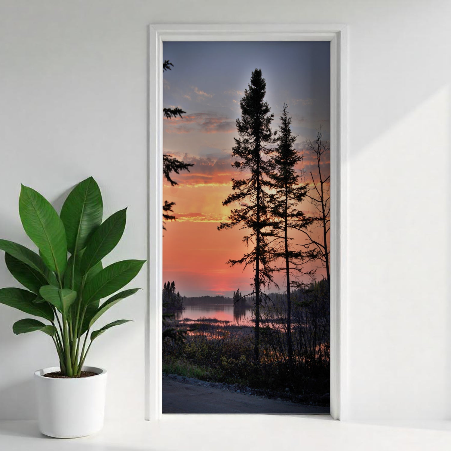 Türfolie Selbstklebend nach maß