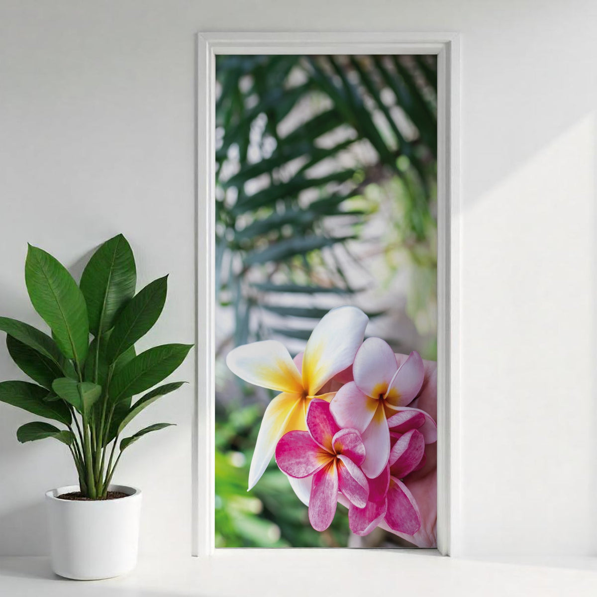 Türfolie Selbstklebend nach maß