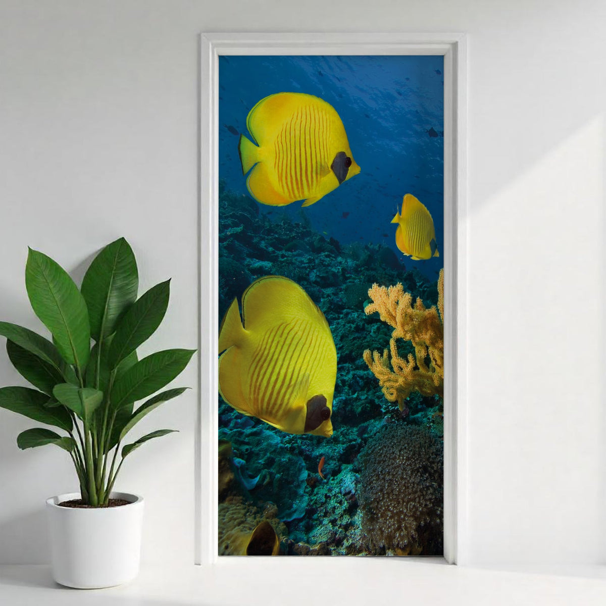 Türfolie Selbstklebend nach maß