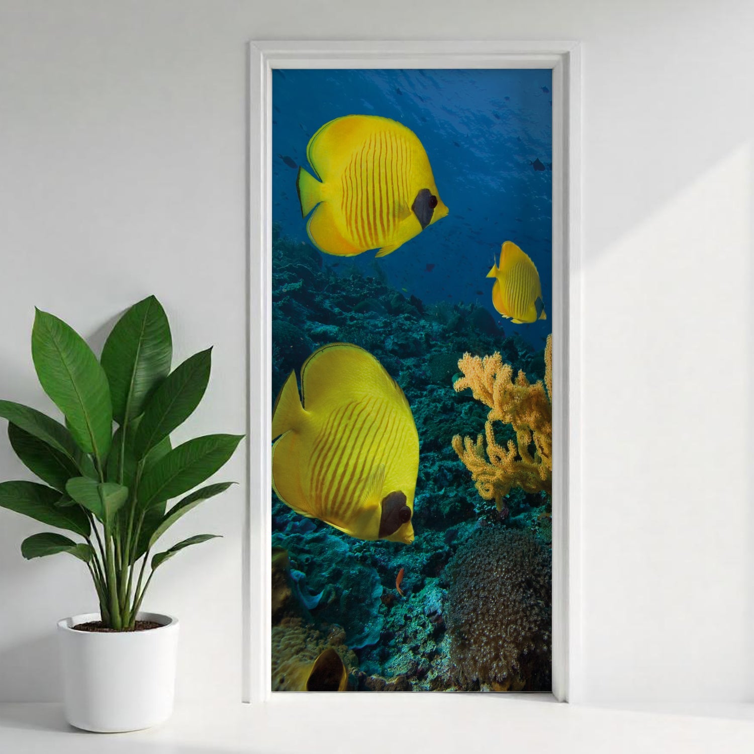 Türfolie Selbstklebend nach maß