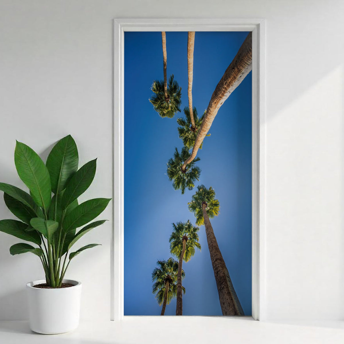 Türfolie Selbstklebend nach maß