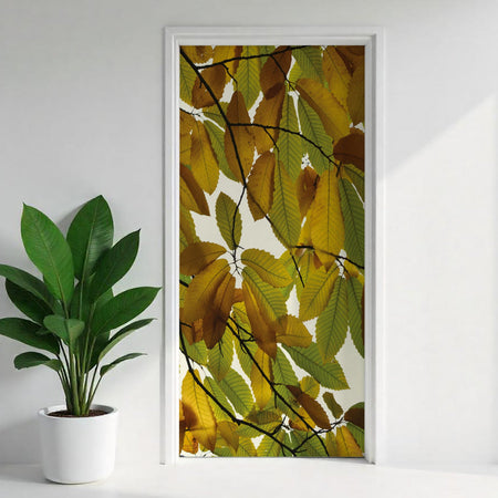 Türfolie Selbstklebend nach maß